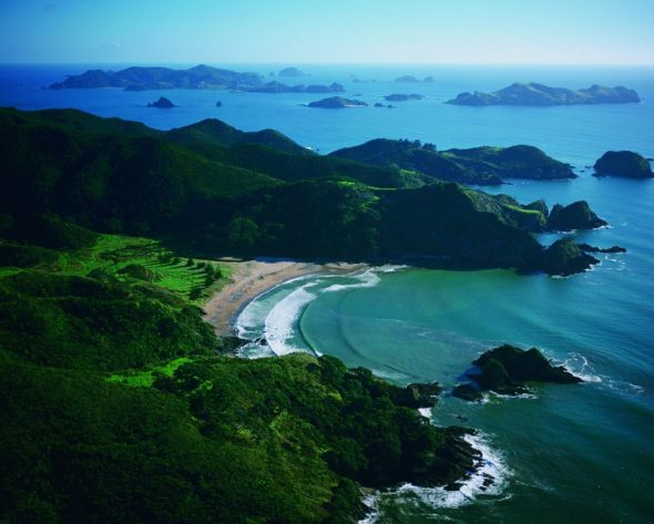 Waiaua-with-Cavalli-Islands-1024x821-590x473.jpg