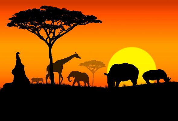 Africa Fam trips