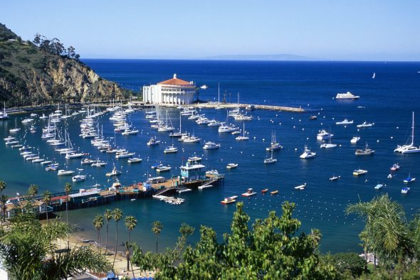 catalina-island-590x394.jpg
