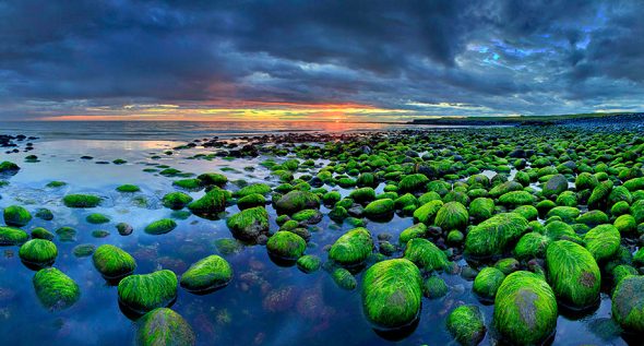 iceland