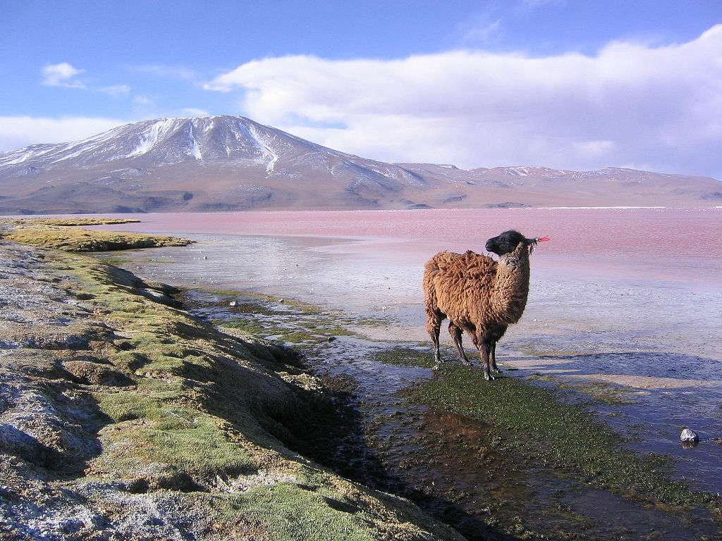 Bolivian Adventures