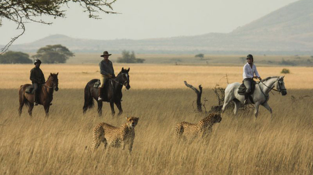 Great Plains Conservation