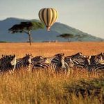 Africa-3.jpg