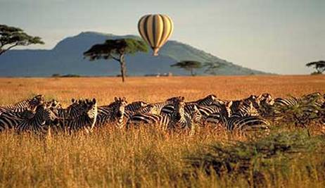 Africa-3.jpg