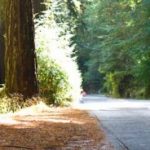 Biking-in-Napa-copy-590x184.jpg