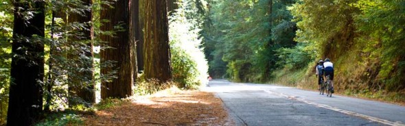 Biking-in-Napa-copy-590x184.jpg