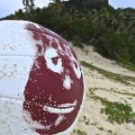 Castaway-wilson-442x590.jpg