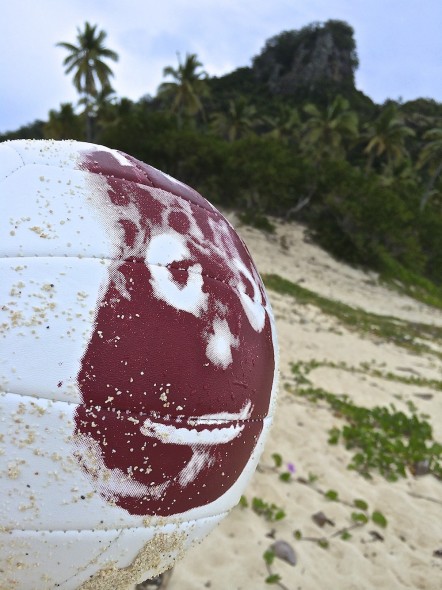 Castaway-wilson-442x590.jpg