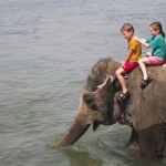 Children-in-India-590x393.jpg