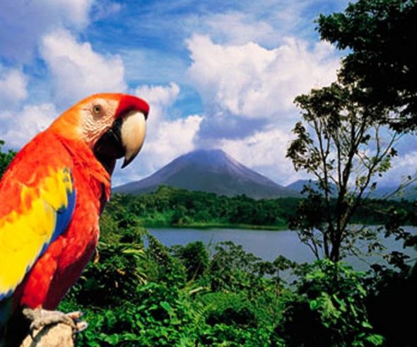 Costa-Rica-use-590x491.jpg