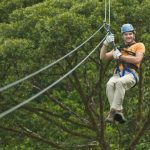 David-Canopy-Pac¡fico-590x393.jpg