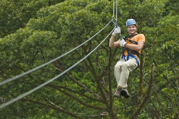 David-Canopy-Pac¡fico-590x393.jpg