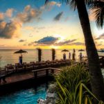 DockDinnerEdelmansm1-1024x682-590x392.jpg