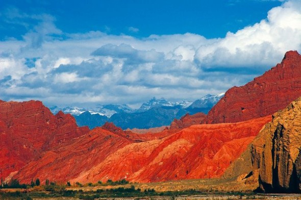 K-A-WIldChina-590x393.jpg