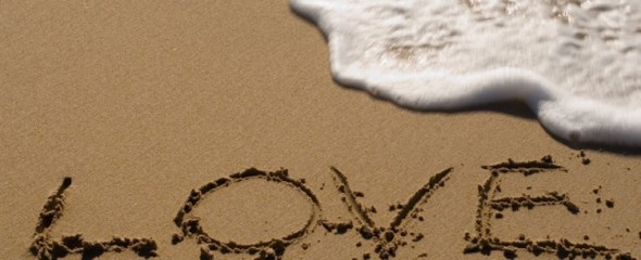 Love-590x240.jpg
