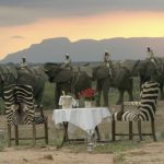 Micato-Safaris-Outside-Elephant-Back-Camp-Jabulani-22-1024x671-590x386.jpg
