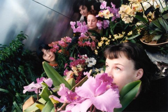 NP_OrchidShow-590x393.jpg