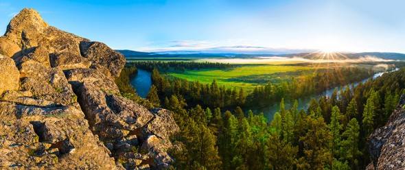 Paws-Up-590x248.jpg