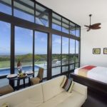 Pikaia-room-590x393.jpg