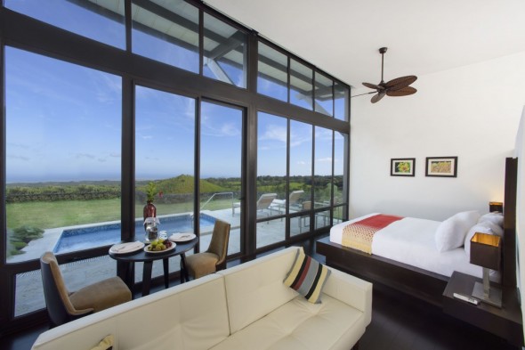 Pikaia-room-590x393.jpg