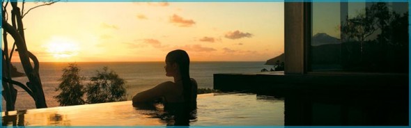 Qualia1-590x184.jpg