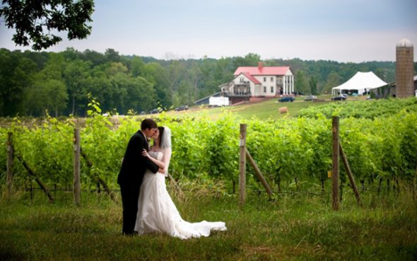 Rose-VWG-wedding-article-1-1-590x369.jpg