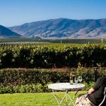 SLO-edna-valley-vineyard-landing.jpg