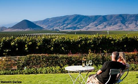 SLO-edna-valley-vineyard-landing.jpg