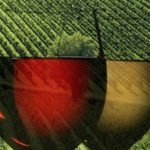 Sonoma-wine-590x252.jpg