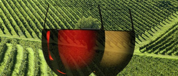 Sonoma-wine-590x252.jpg