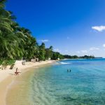 T-I-Aug-7-barbados-2-590x392.jpg