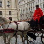 Vienna-Horse-and-carriage.jpg
