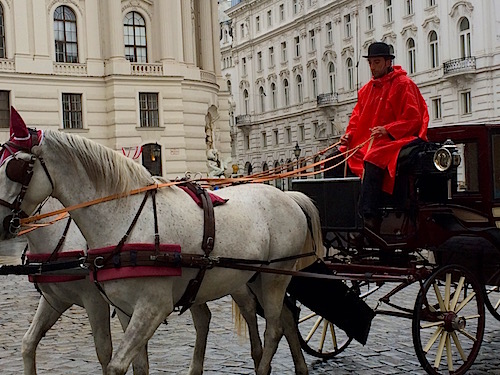 Vienna-Horse-and-carriage.jpg