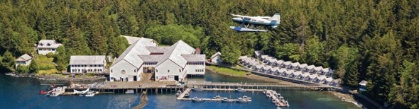 WFR-Aerial-Panoramic-1-Narrow-590x154.jpg