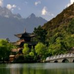 Wild-China-1-590x251.jpg
