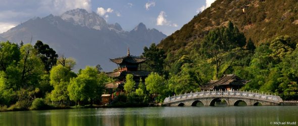 Wild-China-1-590x251.jpg