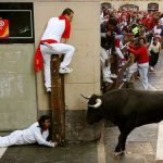 bulls-590x375.jpg