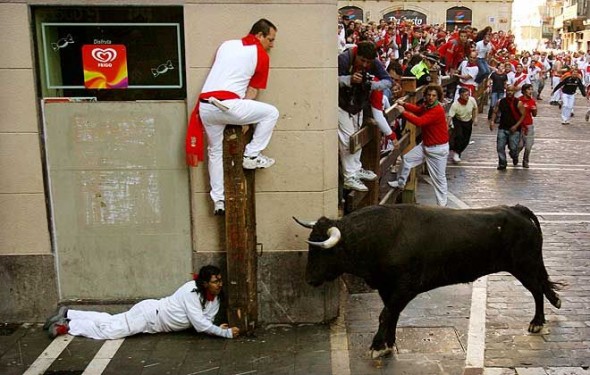bulls-590x375.jpg