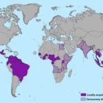 gebied-zika-virus.jpg-590x353.png