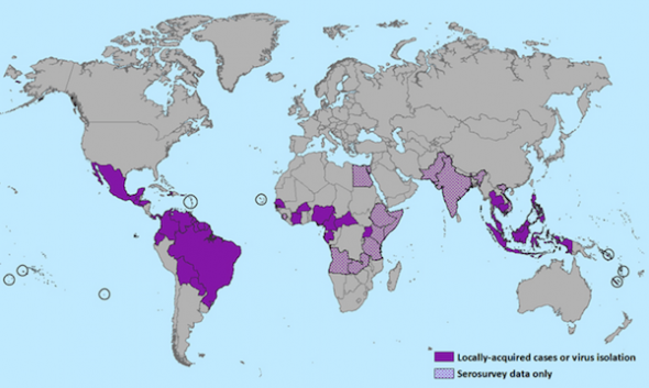gebied-zika-virus.jpg-590x353.png