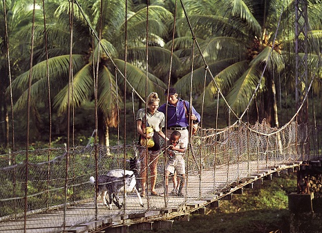 volunteer-jamaica.jpg
