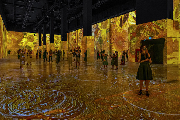 New Exhibit Van Gogh