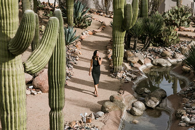 Wellness retreats