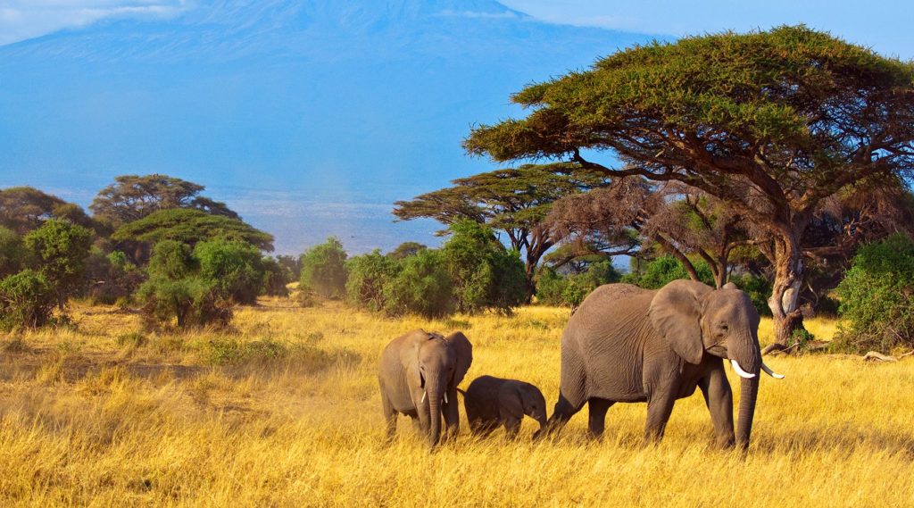 AZAMARA CRUISES AFRICA