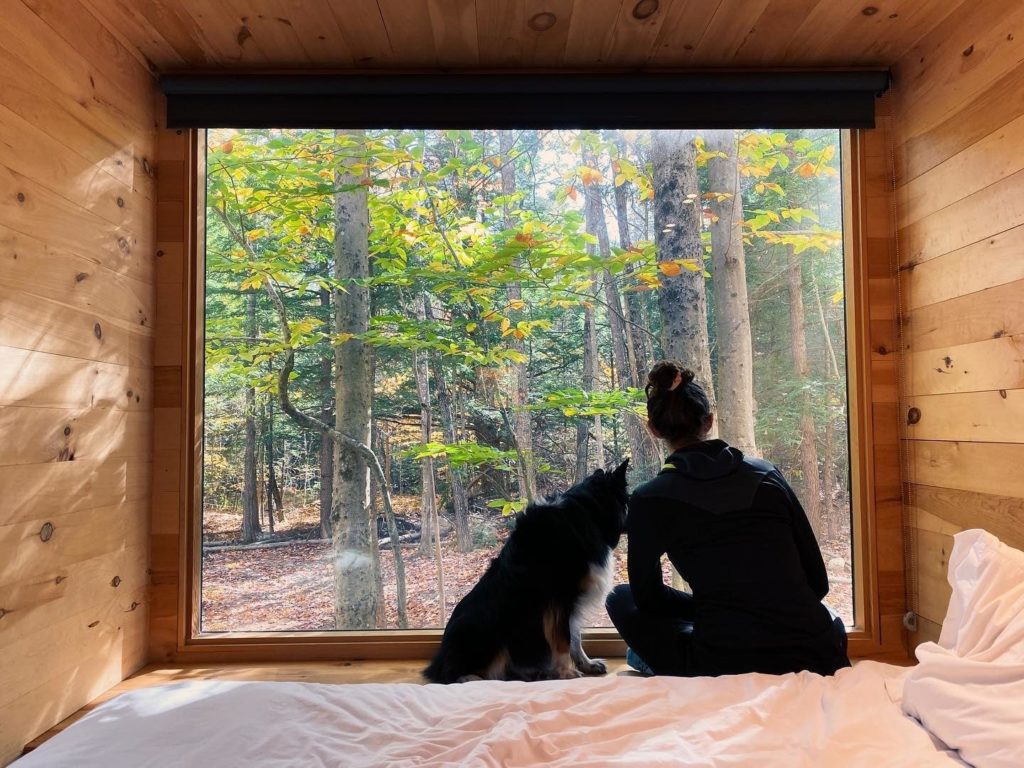 Tiny house stay near Boston