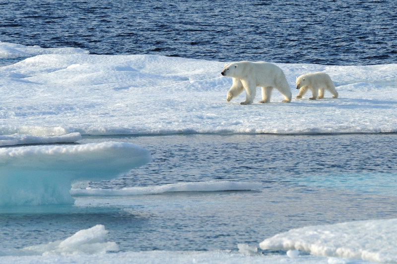 Disney Cruises Arctic