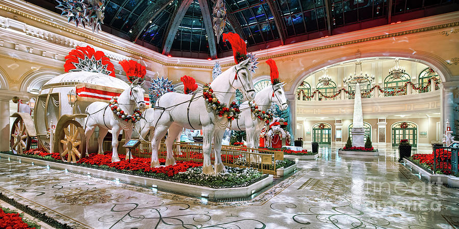 Christmas in Vegas