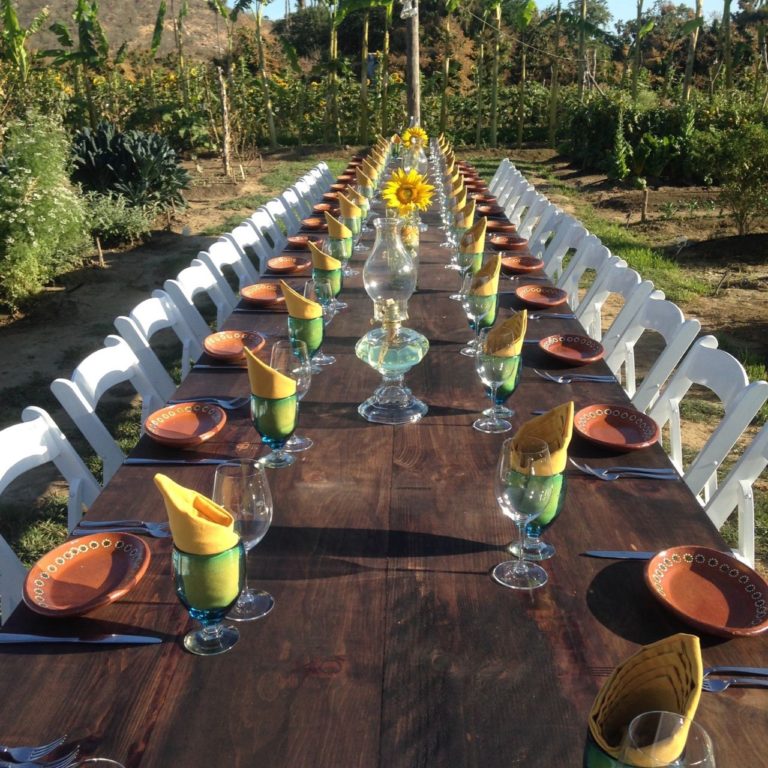Cabo Weddings