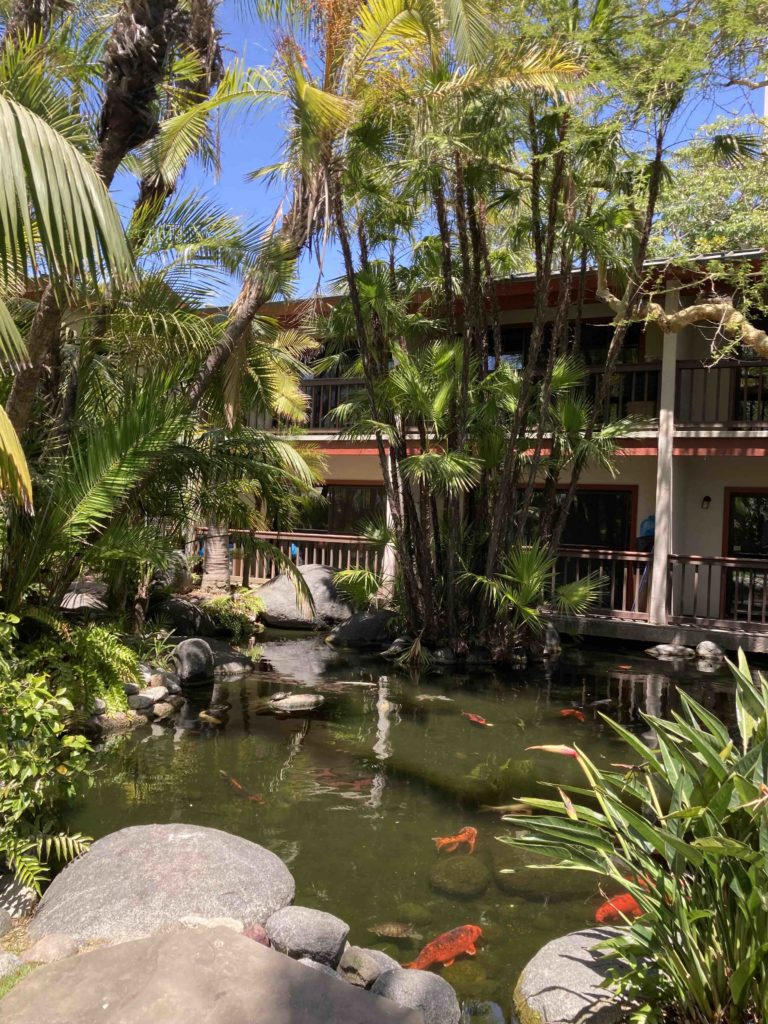Catamaran Resort and Spa San Diego