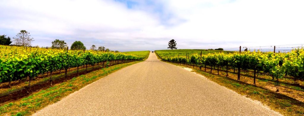 Santa Maria wine tours
